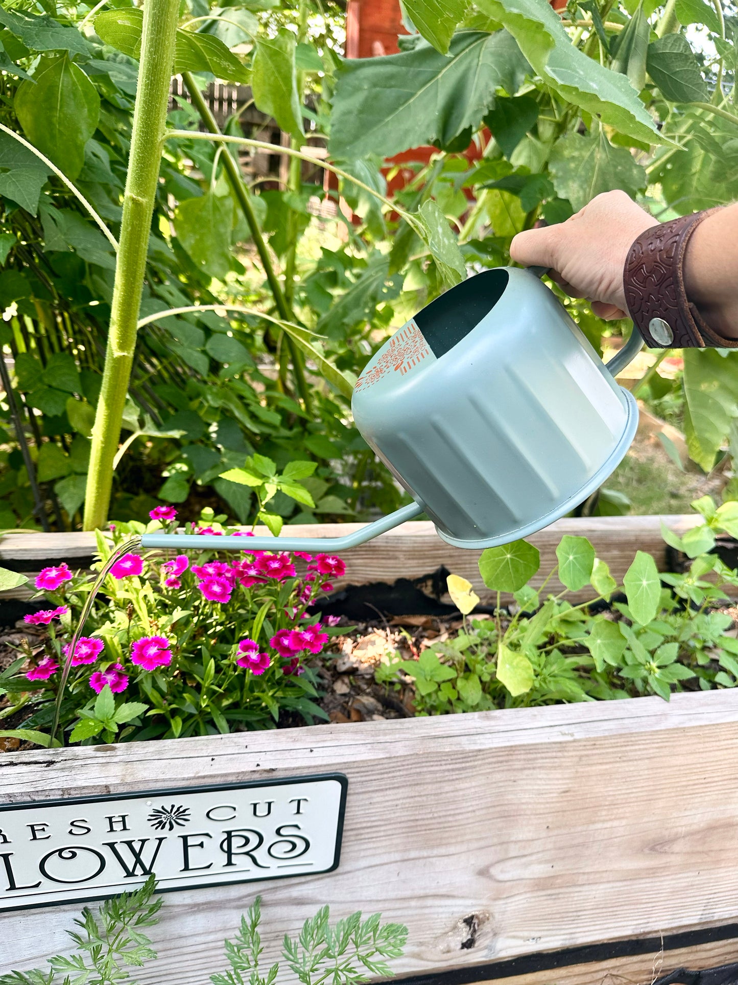 Hand painted Boho watering can ￼