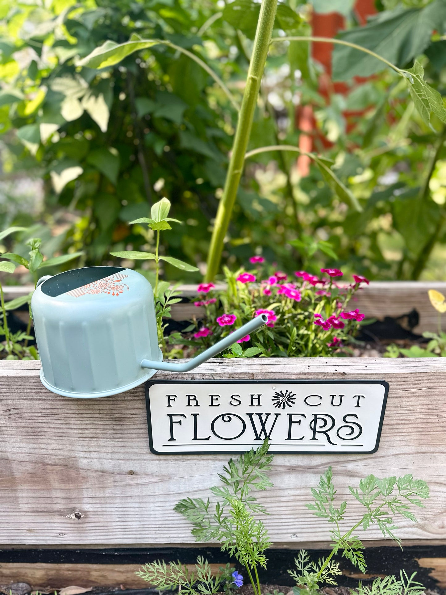 Hand painted Boho watering can ￼