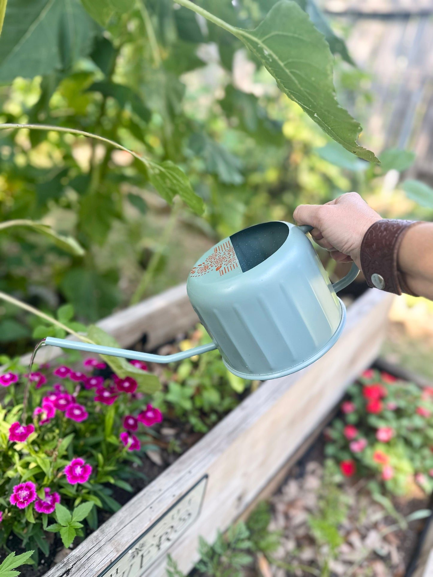 Hand painted Boho watering can ￼